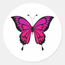 Rosa und lila Schmetterling