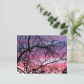 Rosa und Lila Sonnenuntergänge Postkarte (Stehend Vorderseite)