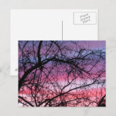 Rosa und Lila Sonnenuntergänge Postkarte (Vorne/Hinten)