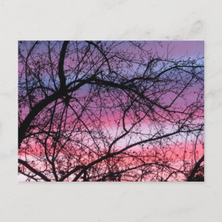 Rosa und Lila Sonnenuntergänge Postkarte