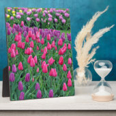 Rosa und lila Tulpen Frühjahrsgarten Fotoplatte (Seite)