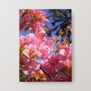 Rosa und Orange Bougainvillea-Blüten gemischt Button