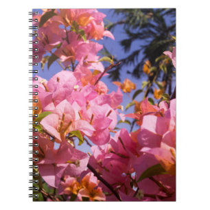Rosa und Orange Bougainvillea-Blüten gemischt Notizblock