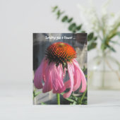 Rosa und orange Daisey Postkarte (Stehend Vorderseite)