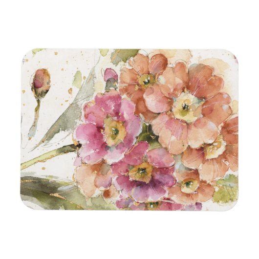 Rosa und Orange Primrose Magnet (Horizontal)