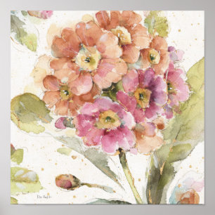 Rosa und Orange Primrose Poster