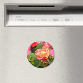 Rosa und orange Rose Magnet (In Situ (Geschirrspüler))