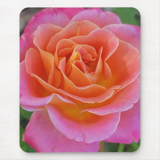Rosa und orange Rose Mauspad (Vorne)