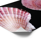 Rosa und orange Scallops Fotodruck (Ecke)