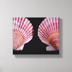 Rosa und orange Scallops Leinwanddruck