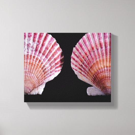 Rosa und orange Scallops Leinwanddruck (Vorderseite)