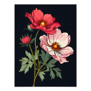 Rosa und rote Blume auf schwarz Fotodruck