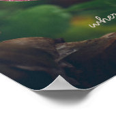 Rosa und rote Blume mit Regentropfen Poster (Ecke)