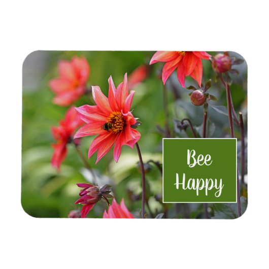 Rosa und Rote Dahlia Bee Happy Blume Motivierend Magnet (Horizontal)