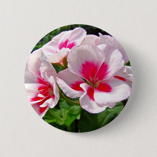 Rosa und Rote Geranie Button (Vorderseite)