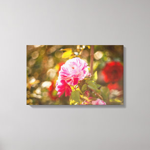 Rosa und rote Rosen Leinwanddruck