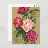 Rosa und Rote Rosen Postkarte (Vorne/Hinten)