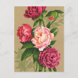 Rosa- und rote Rosenmalerei Postkarte