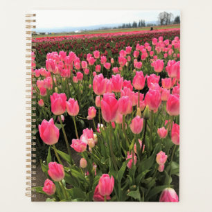 Rosa und rote Tulips in einem Feld, Oregon Planer