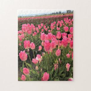 Rosa und rote Tulips in einem Feld, Oregon Puzzle