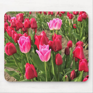 Rosa und Rote Tulissen Mousepad