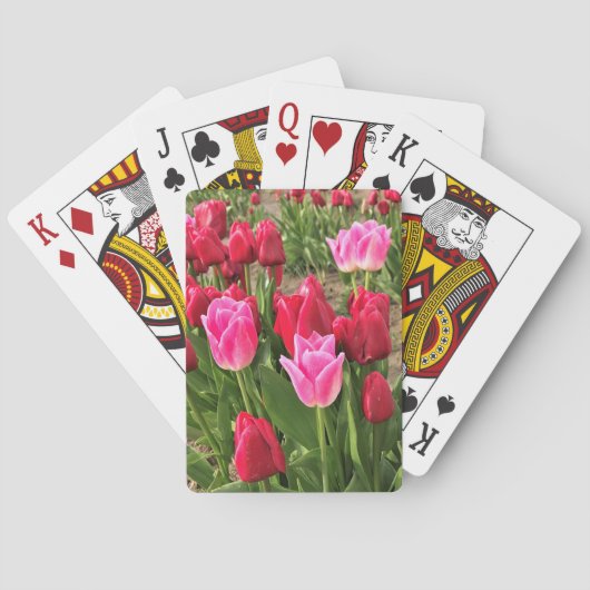 Rosa und Rote Tulissen Spielkarten (Rückseite)