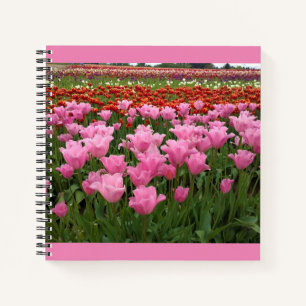Rosa und Rote Tulpen, Oregon Notizblock