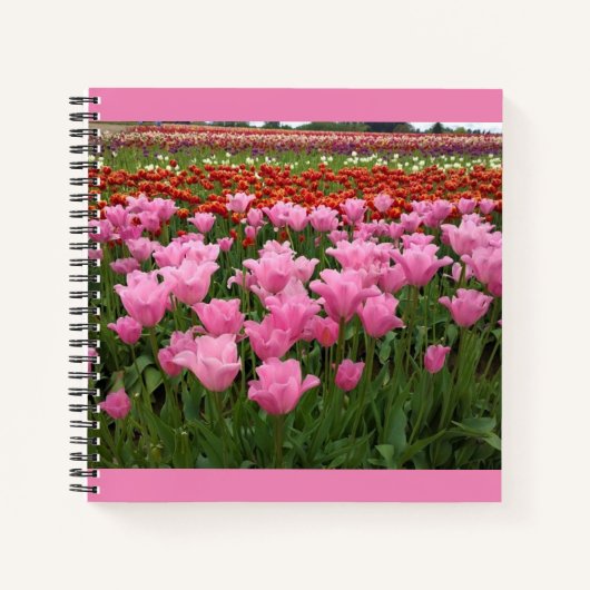 Rosa und Rote Tulpen, Oregon Notizblock (Vorderseite)