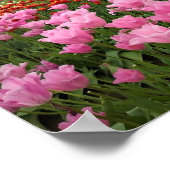 Rosa und Rote Tulpen, Oregon Poster (Ecke)