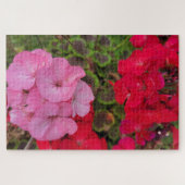 Rosa und Rotes Geranium Puzzle (Horizontal)