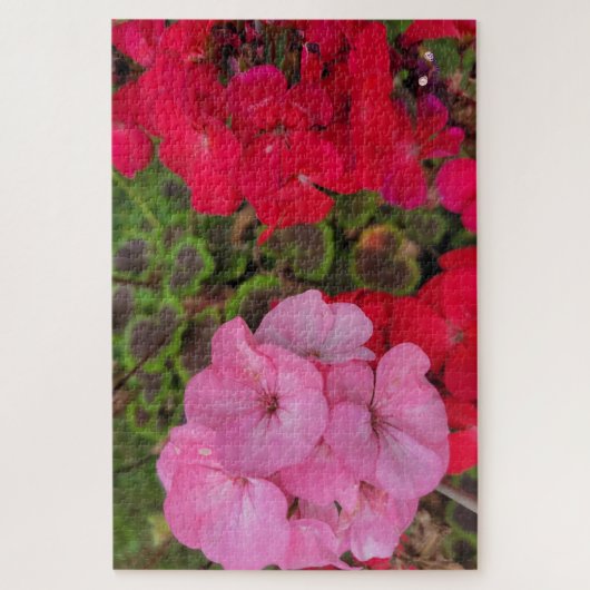 Rosa und Rotes Geranium Puzzle (Vertikal)