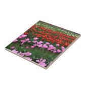 Rosa und Rotes Tulip Feld, Oregon Fliese (Seite)