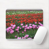 Rosa und Rotes Tulip Feld, Oregon Mousepad (Mit Mouse)