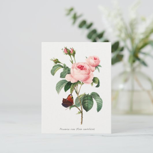 Rosa und Schmetterling Botanische Illustration Postkarte (Stehend Vorderseite)