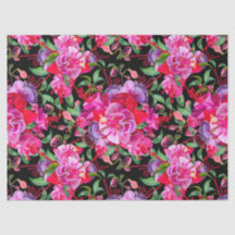 Rosa und schwarze Wasserfarbe Fuchsia Blüten