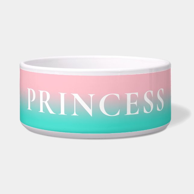 Rosa und türkisfarbenes Ombre Napf (Vorderseite)