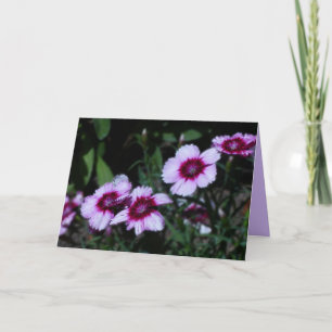 Rosa und violette Blumen, unbedruckte Innenseite, Karte
