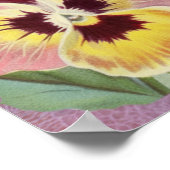 Rosa und violette Stiefmütterchen und Spitze-Ephem Poster (Ecke)