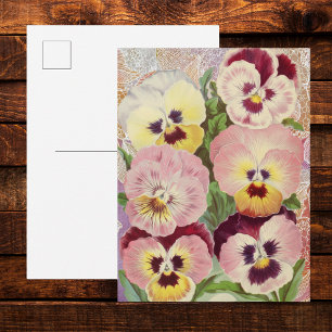 Rosa und violette Stiefmütterchen und Spitze-Ephem Postkarte