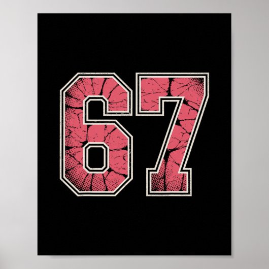 Rosa und Weiß 67 Poster (Vorne)