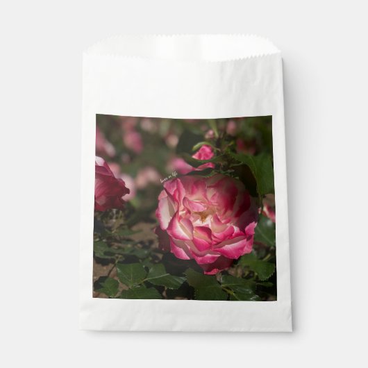 Rosa und Weiß Geschenktütchen (Vorderseite)