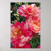 Rosa und weiß gestrichene Rose Blumengesteck Poster (Vorne)