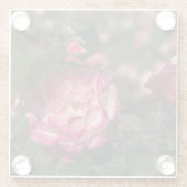 Rosa und Weiß Glasuntersetzer (Rückseite)