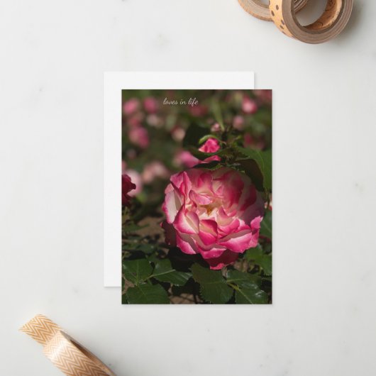 Rosa und Weiß Mitteilungskarte (Vorderseite/Rückseite Beispiel)