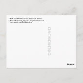 Rosa und Weiß Postkarte (Rückseite)