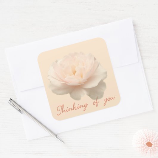 Rosa und Weiß Quadratischer Aufkleber (Umschlag)