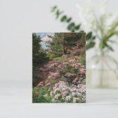 Rosa und Weiß Rhododendron | Thomas Allen, Jr. Postkarte (Stehend Vorderseite)