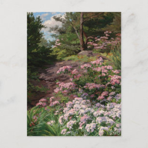 Rosa und Weiß Rhododendron   Thomas Allen, Jr. Postkarte