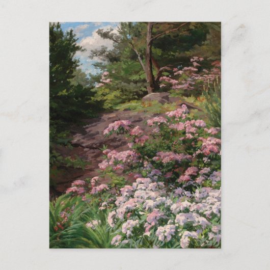 Rosa und Weiß Rhododendron | Thomas Allen, Jr. Postkarte (Vorderseite)