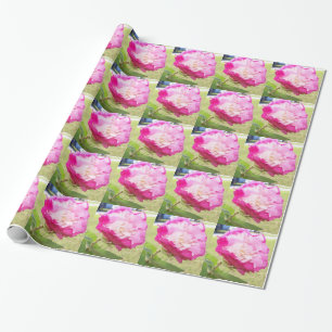 Rosa und Weiß veränderbarer Hibiskus blühen Geschenkpapier